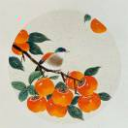 壹小仙