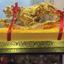 为了生活$$刻苦拼搏